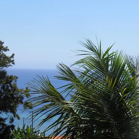 Formosa Funchal (Madeira)